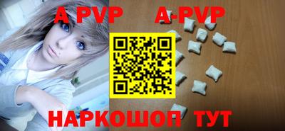 стафф Донской