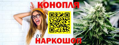 стафф Донской