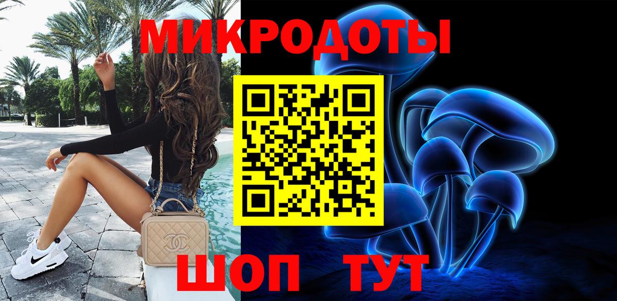 Галлюциногенные грибы Psilocybine cubensis  Вход с VPN  Малоярославец 